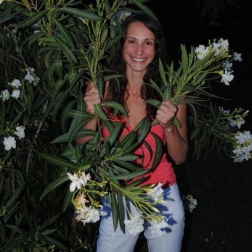 sex bij massage erotische massages west vlaanderen sex bij massage erotische massages west vlaanderen